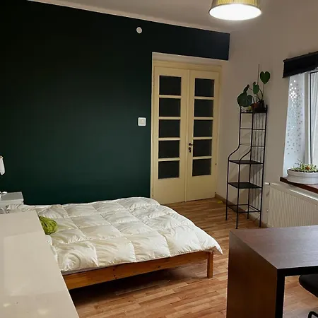 Cozy And Hostel *